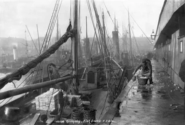 Docks à poissons, Grimsby, début du 20e siècle